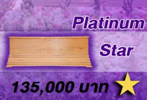 Promotion Platinum Star หีบศพ โลงศพ สุริยาหีบศพ